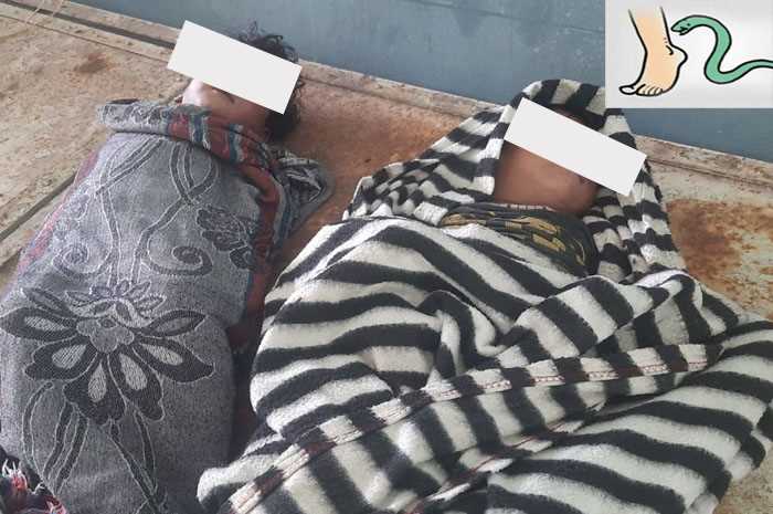 सर्पदंश से दो जुड़वा बहनों की मौत सर्पदंश से दो जुड़वा बहनों की मौत